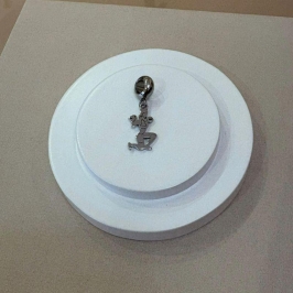 BERLOQUE AÇO MULHER AGACHAMENTO  ACADEMIA