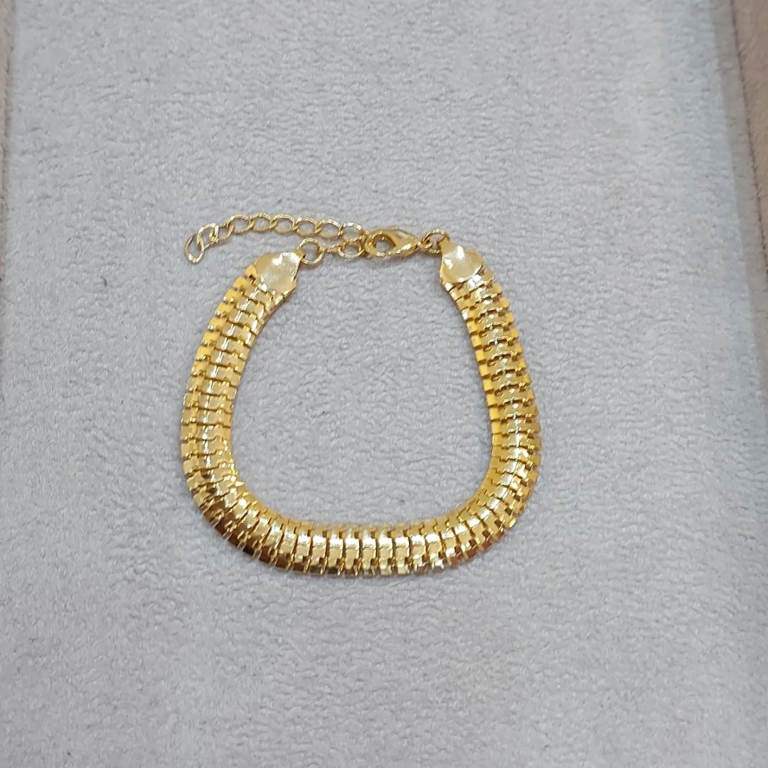 PULSEIRA ACHATADA OCA
