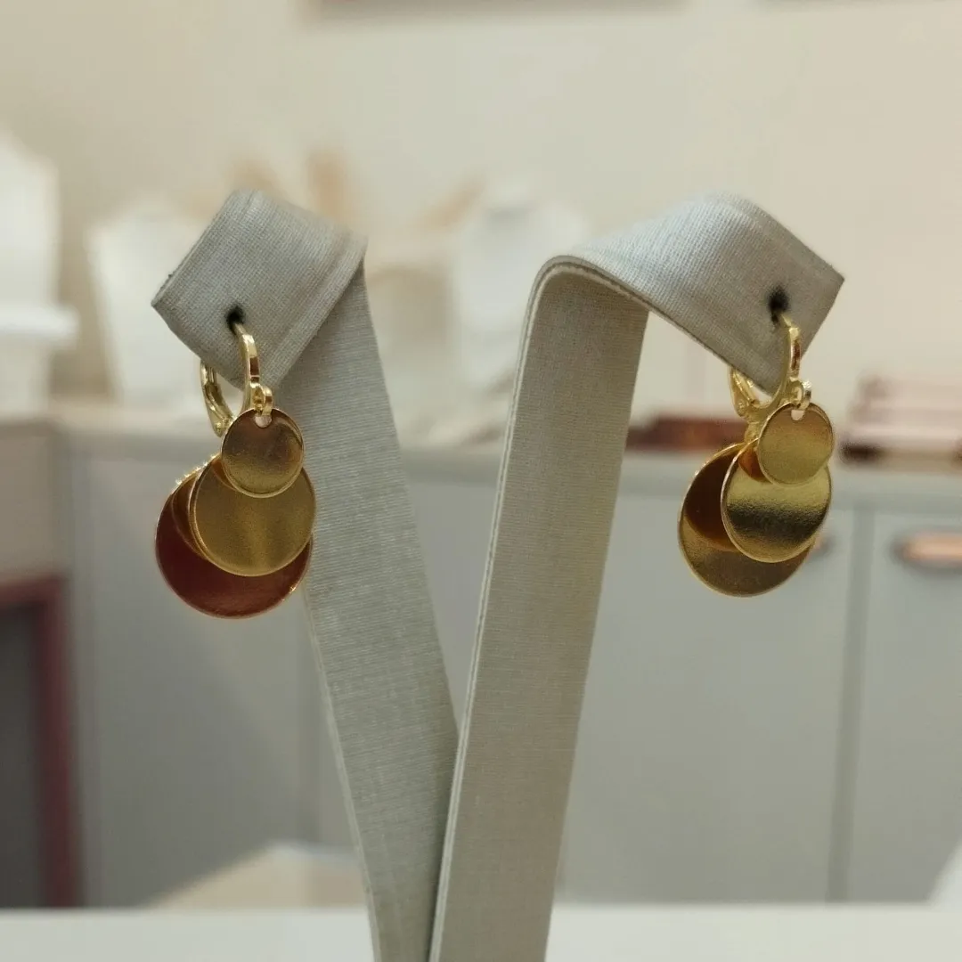 ARGOLA MOEDAS DEGRADÊ