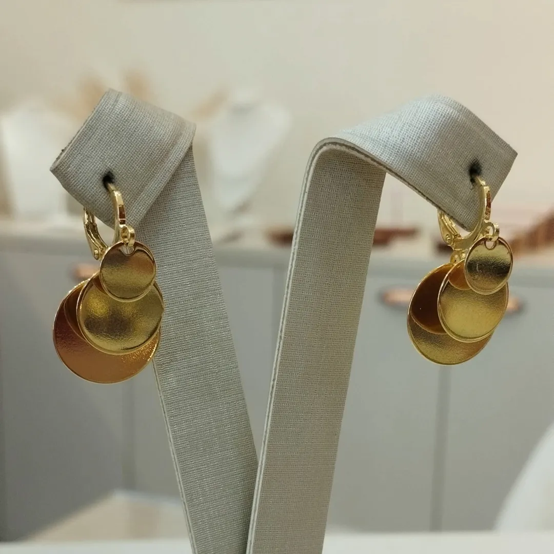 ARGOLA MOEDAS DEGRADÊ