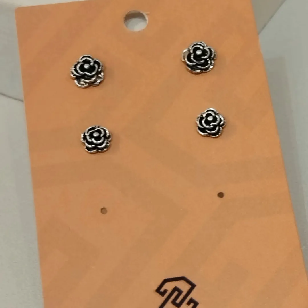 DUPLA PRATA ROSAS